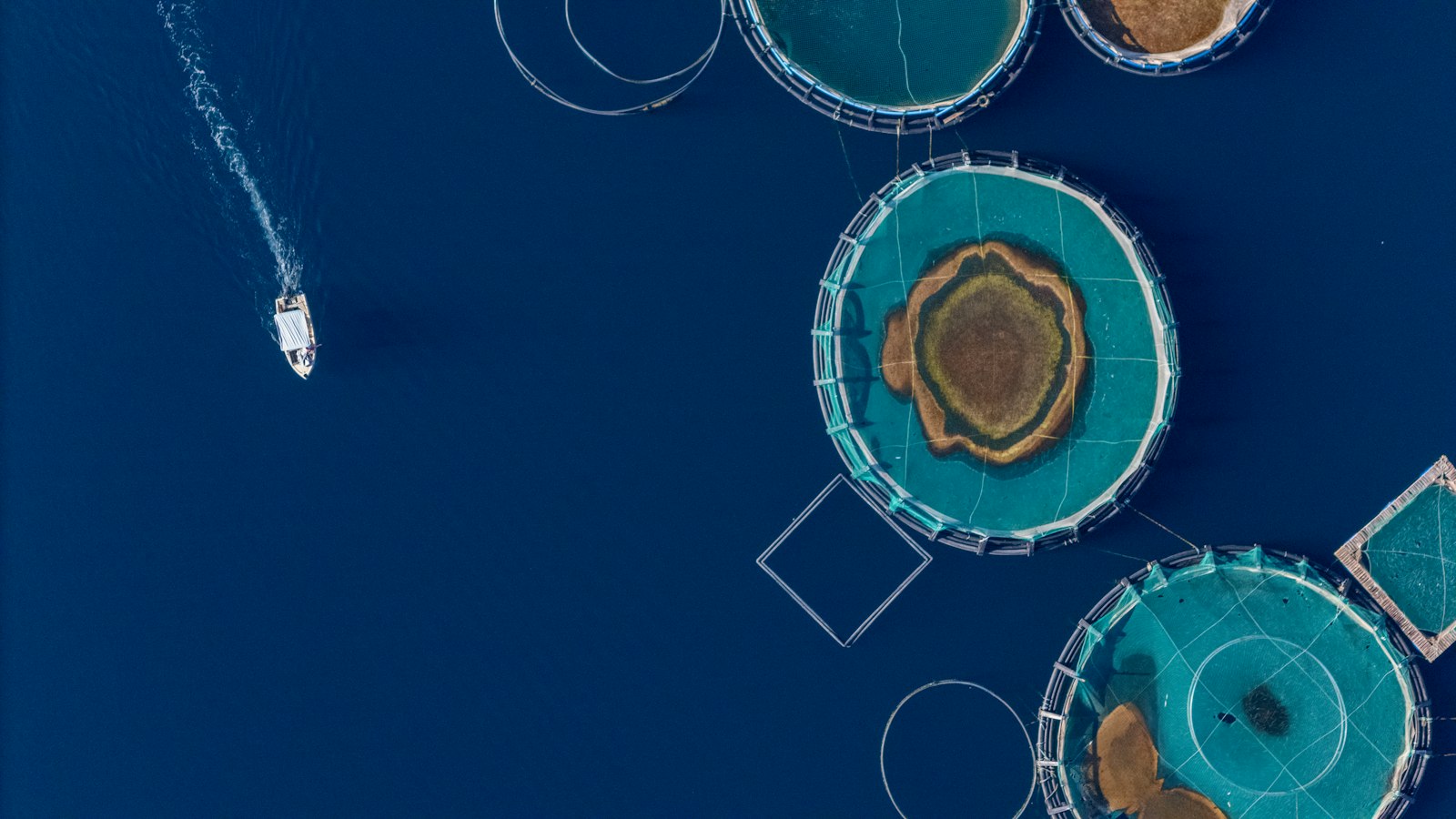 Aerial view of aquaculture pens