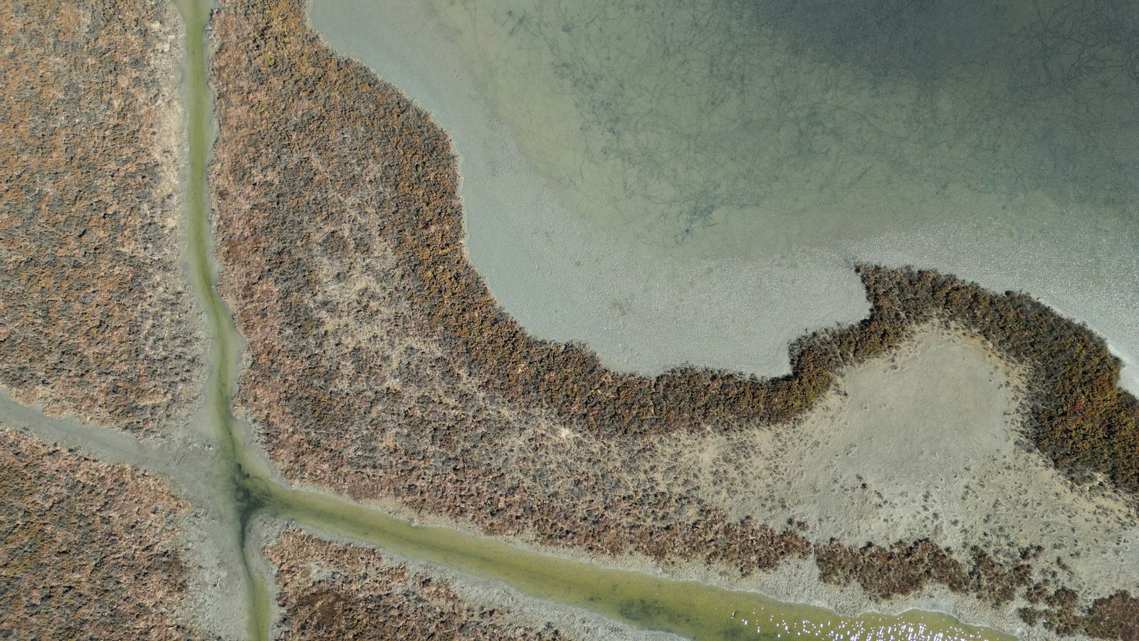 Aerial view of coastal wetlands