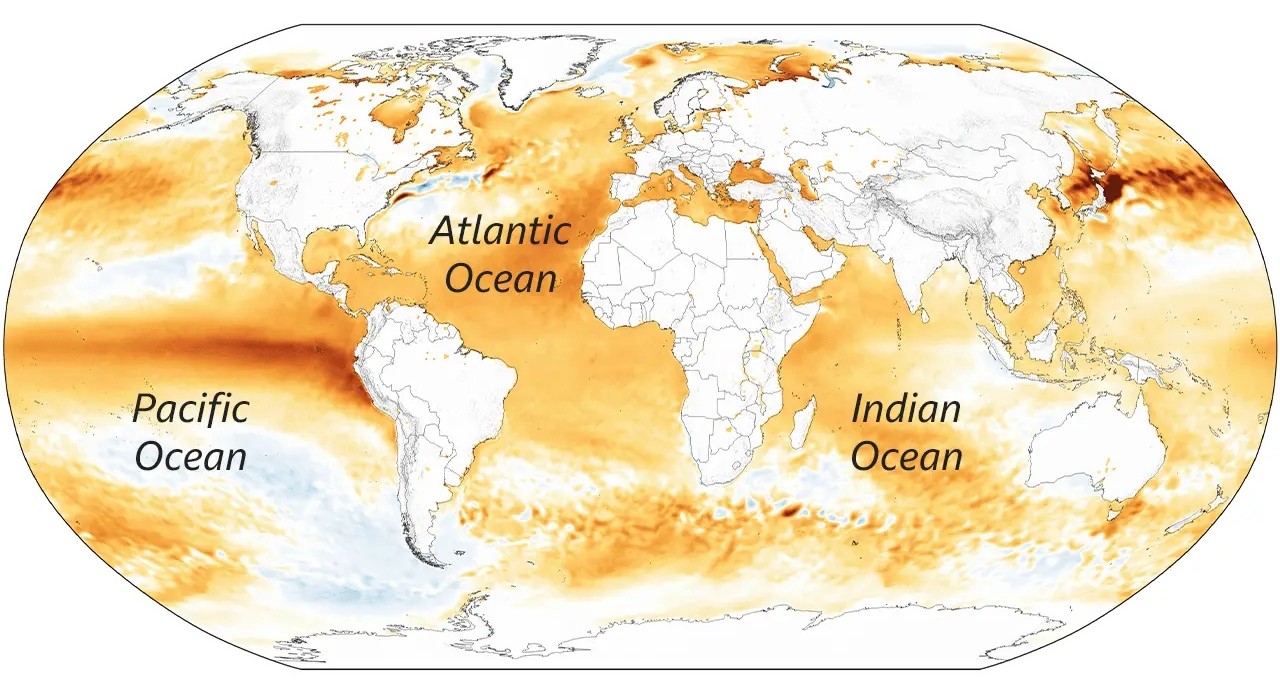 Map of average sea surface temperature anomaly, compared with 1991–2020 average